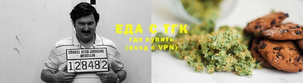 хмурый Алексин