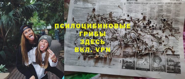 ALPHA PVP Алзамай
