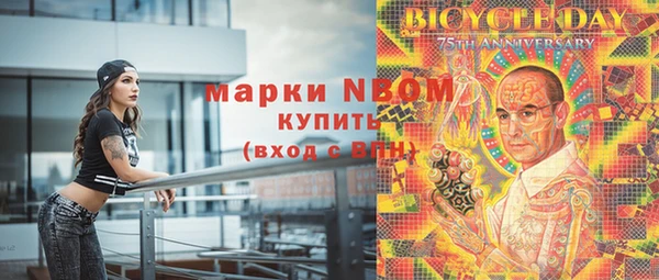 хмурый Алексин