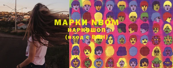 индика Алексеевка