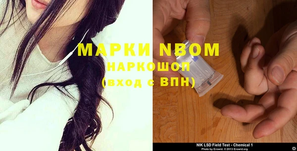 индика Алексеевка