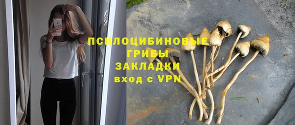 хмурый Алексин